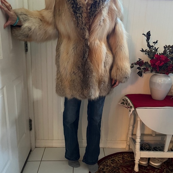 Beautiful Golden island fox coat - Picture 11 of 16
